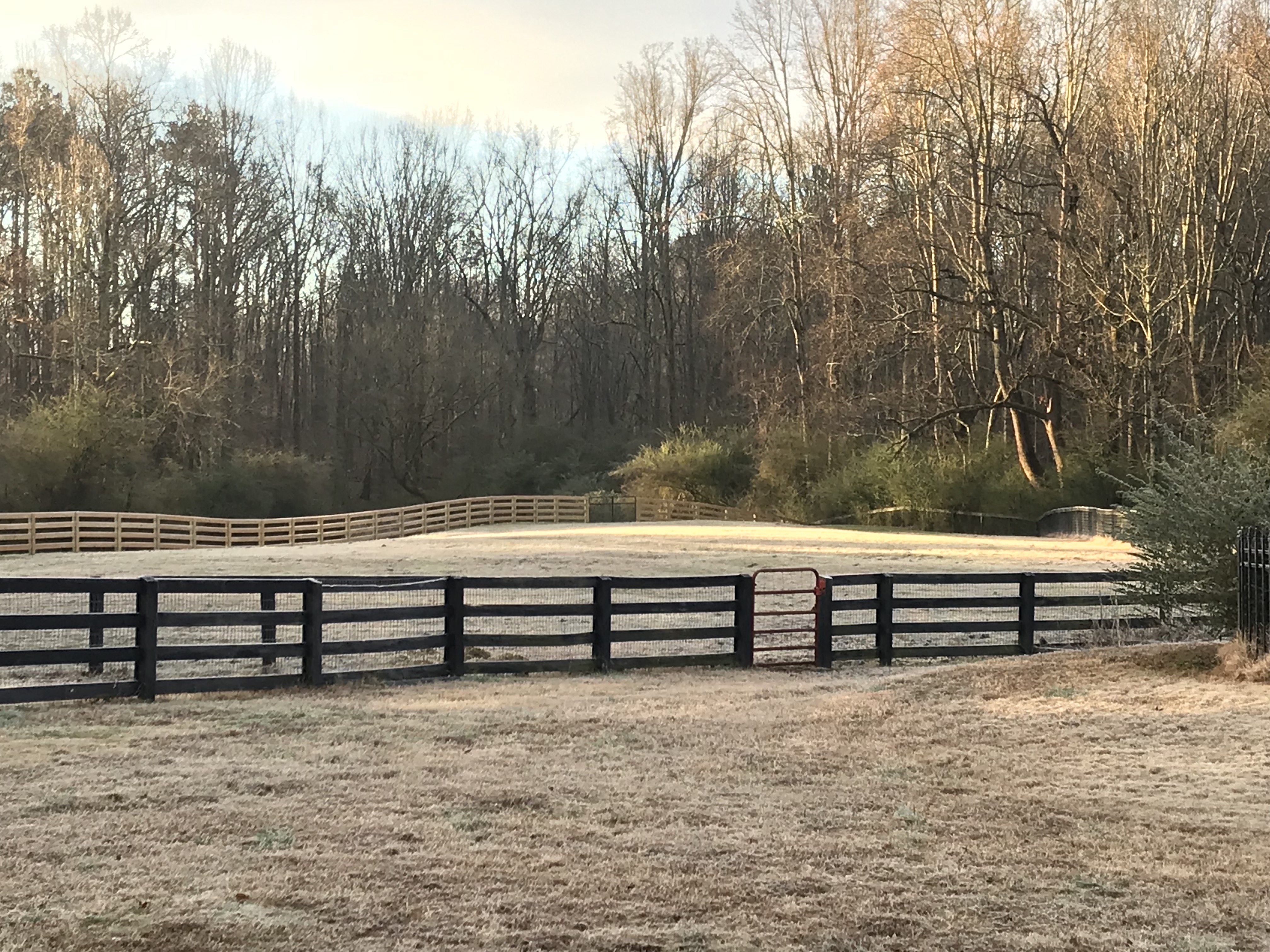 Hedgerow Solstice Middle Pasture