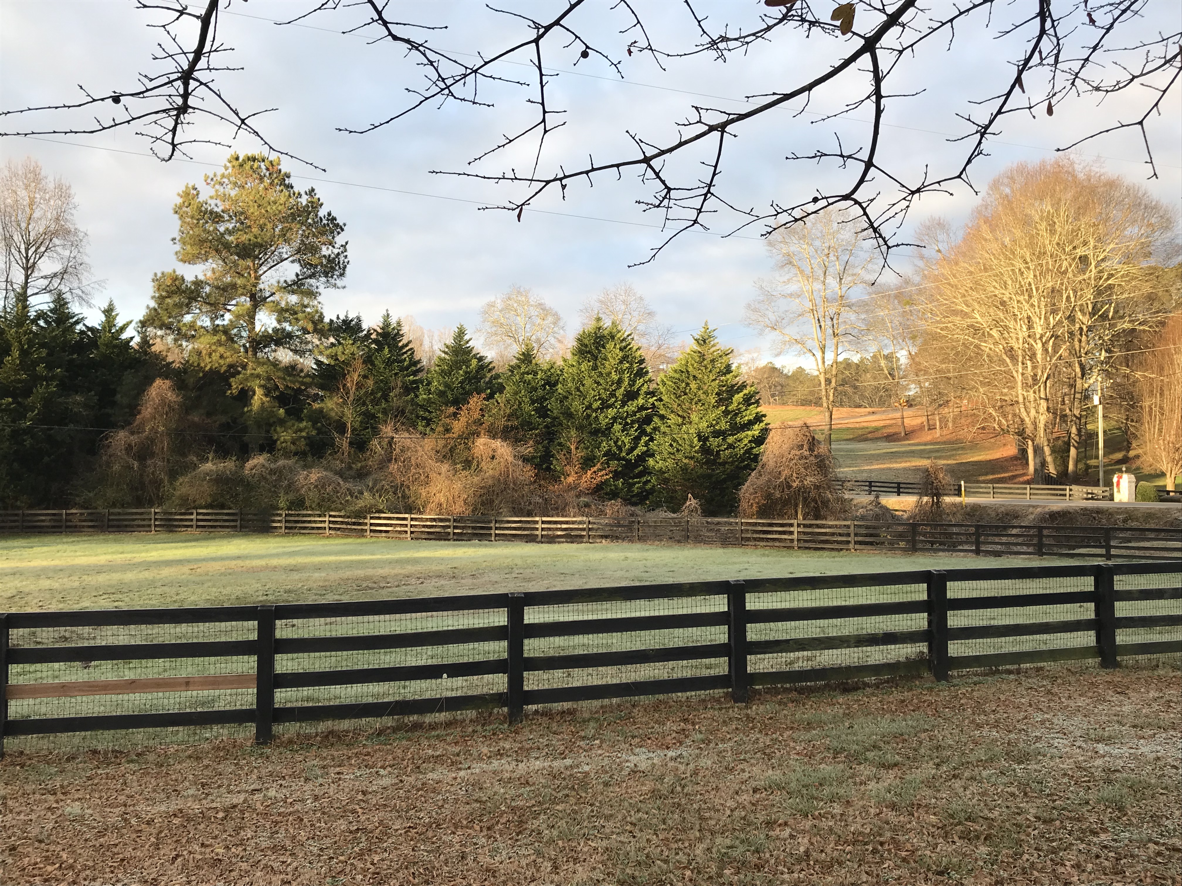 Hedgerow Solstice SunUp