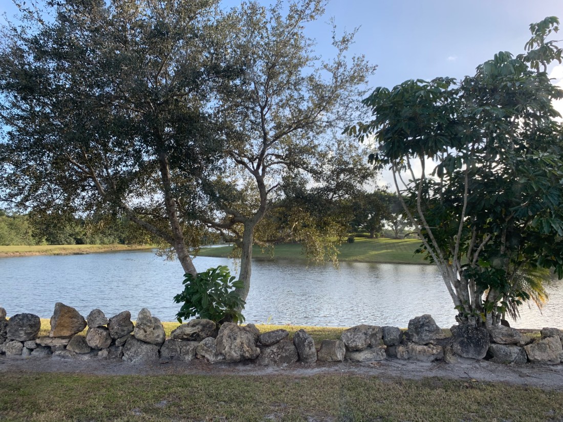 Welly pretty scenery