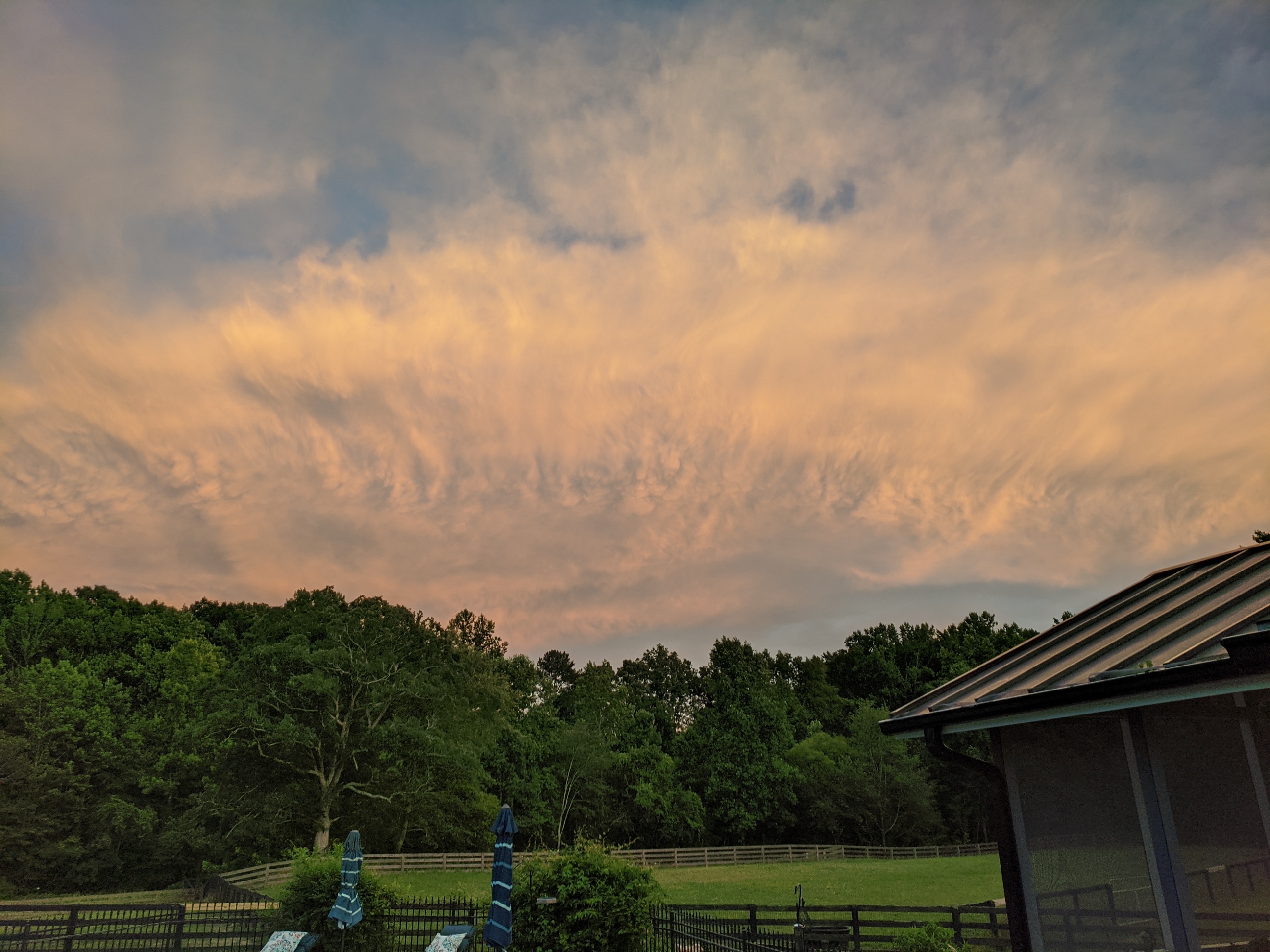 Sunset over Hedgerow